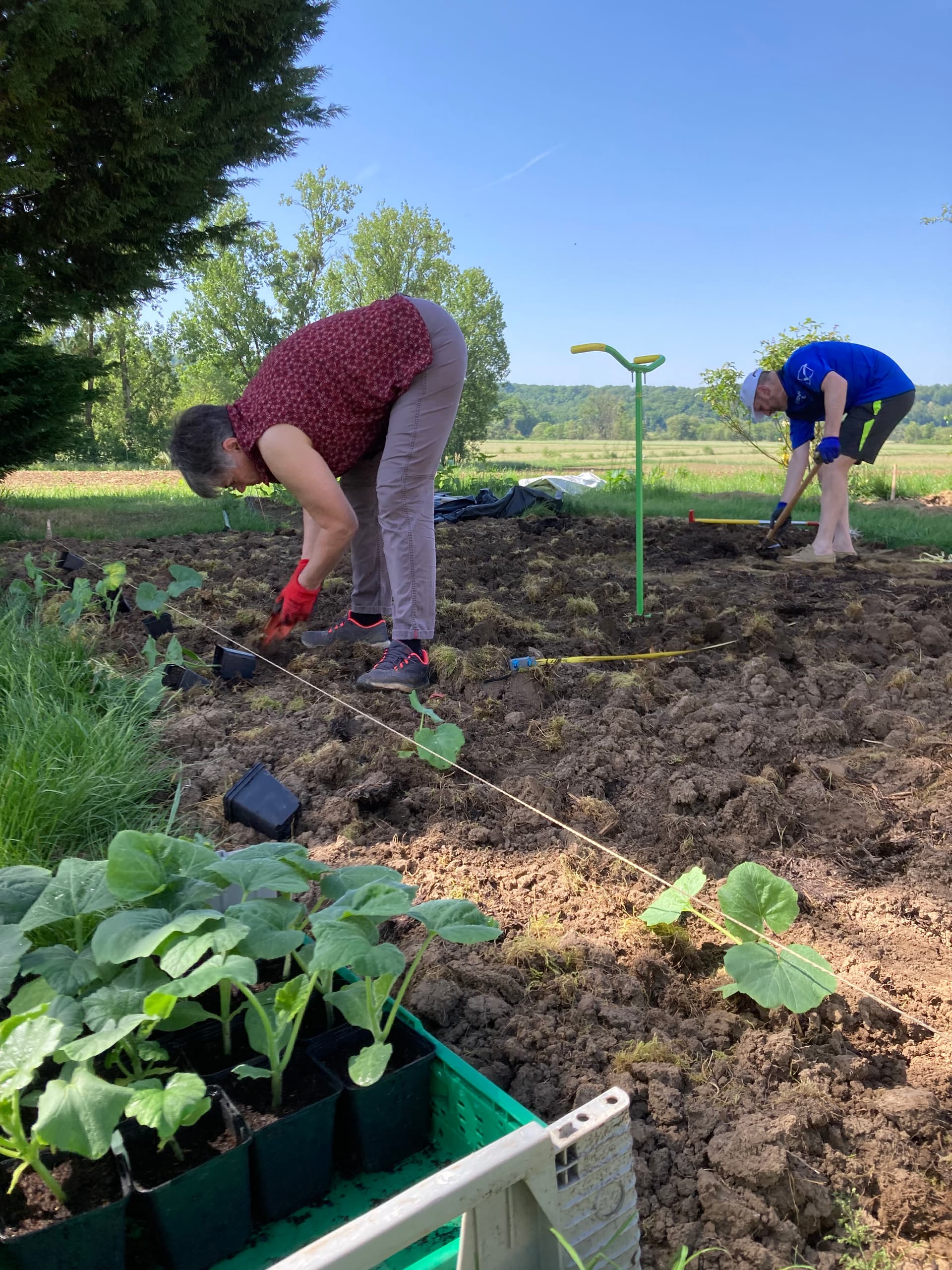 Production familiale : chez ma grand-mère qui par ailleurs s’occupe des arrosages matinaux, mais aussi avec de précieux coups de main de mes parents et mon frère (également webmaster !)