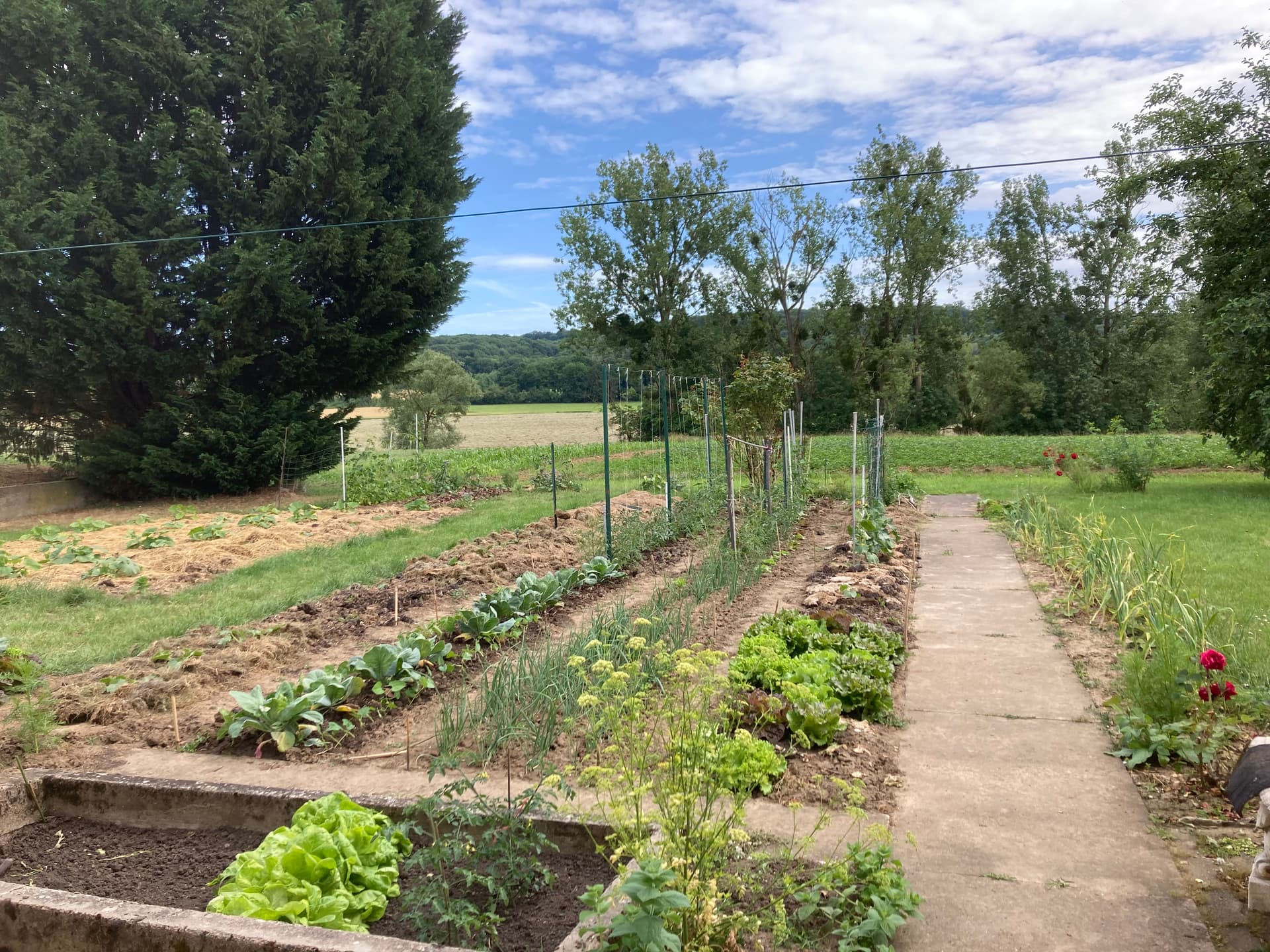 Potager à Pontigny