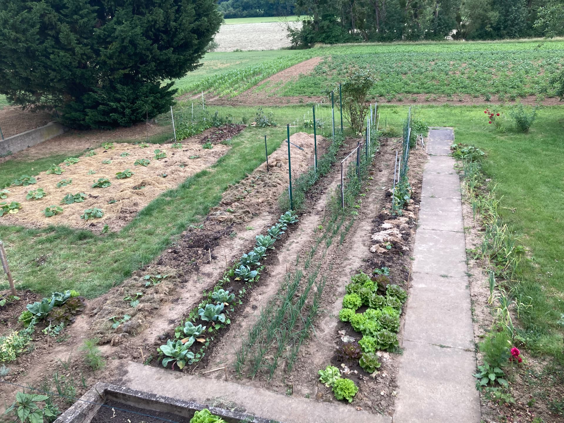 Potager à Pontigny