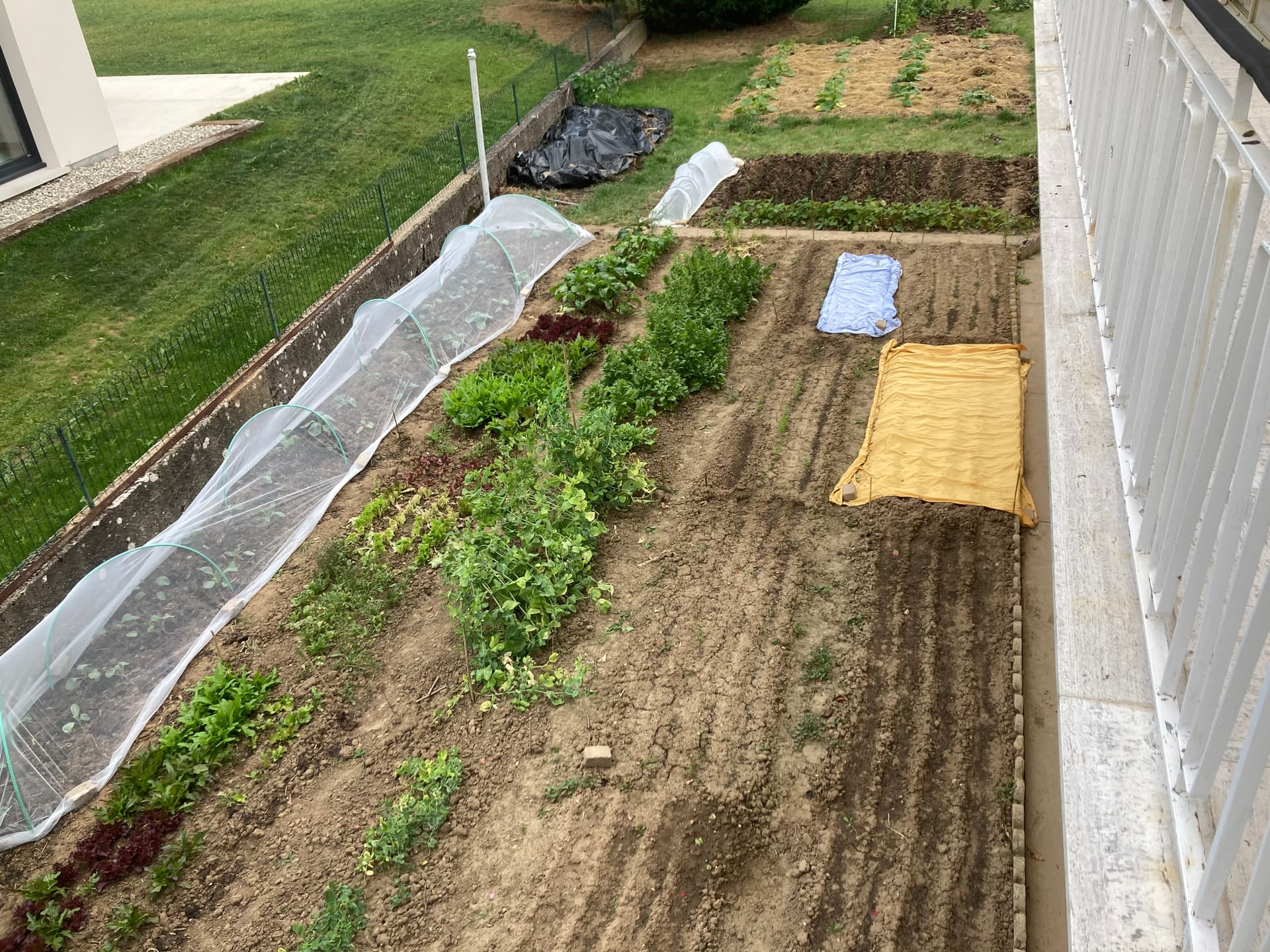 Potager à Pontigny
